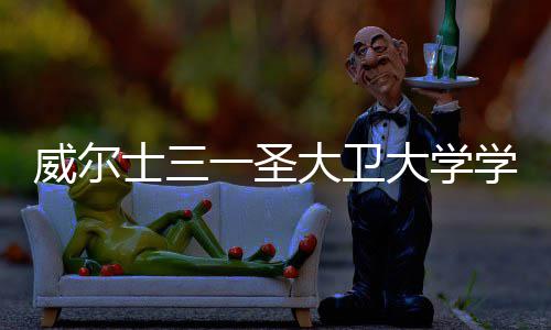 学费些大卫大学多少条件一圣有哪威尔士三申请钱